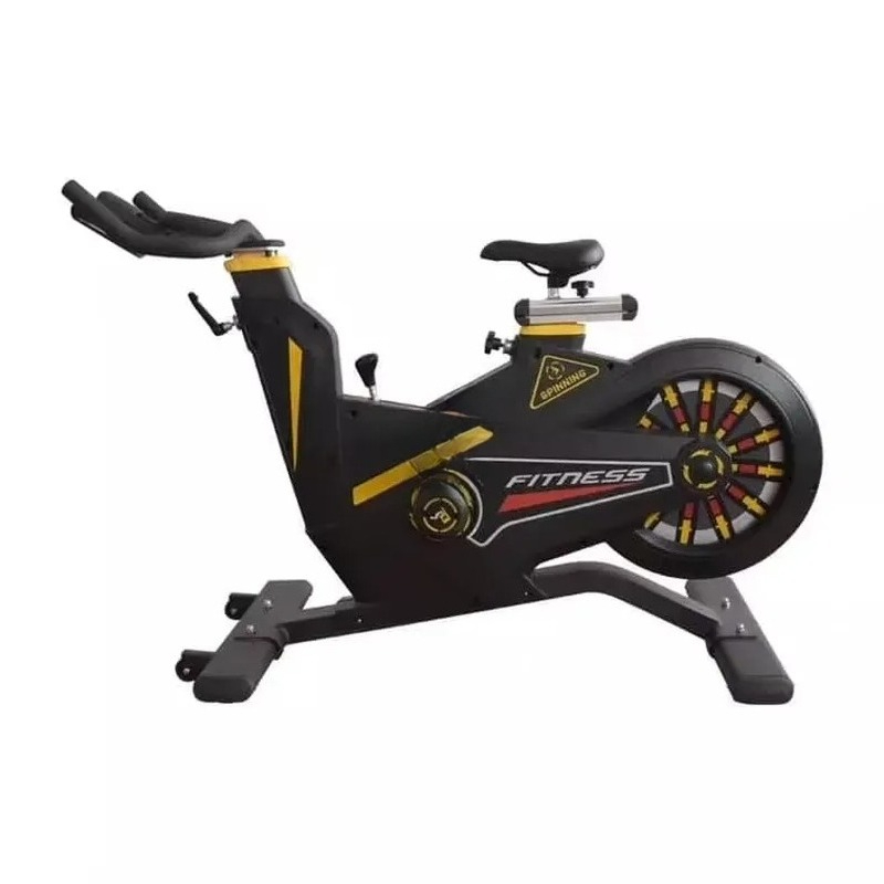 Home Gym Exercise - Vélo de spinning commercial, vélo d'exercice
