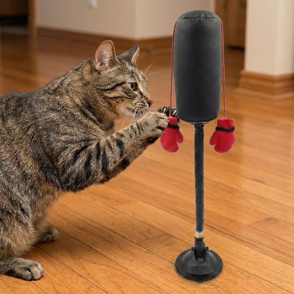 Jouet de boxe pour chat à vent - Boxing Bag Stand avis et prix